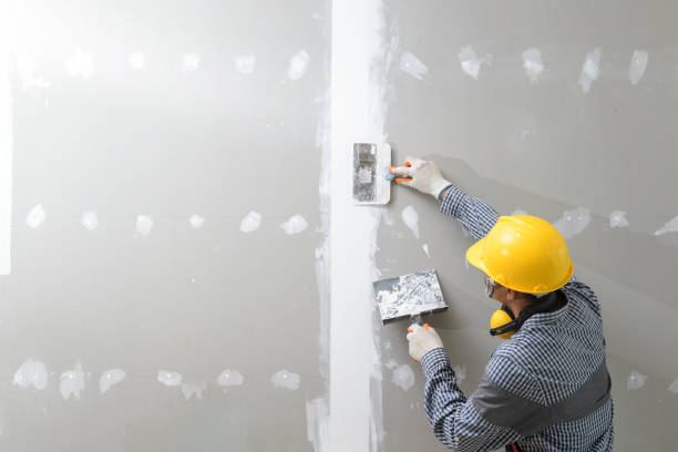  Winner, SD Mold Removal Pros