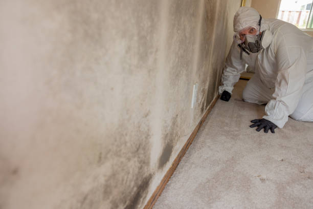 Best Industrial Mold Remediation  in Winner, SD